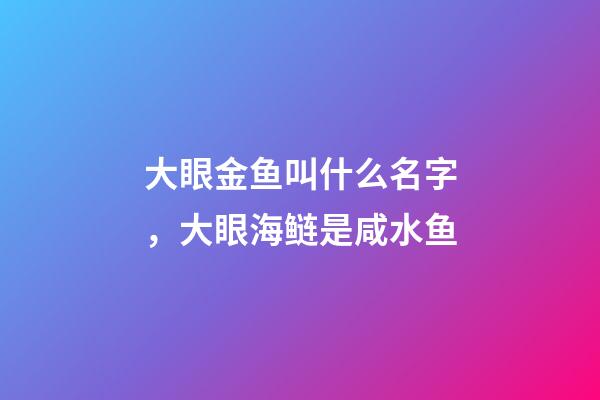 大眼金鱼叫什么名字，大眼海鲢是咸水鱼-第1张-观点-玄机派