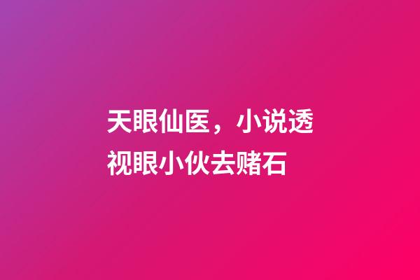 天眼仙医，小说透视眼小伙去赌石-第1张-观点-玄机派