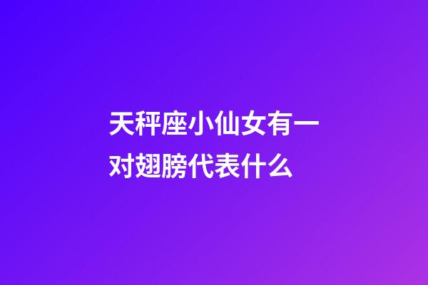 天秤座小仙女有一对翅膀代表什么-第1张-星座运势-玄机派