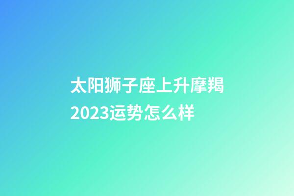 太阳狮子座上升摩羯2023运势怎么样-第1张-星座运势-玄机派