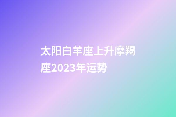 太阳白羊座上升摩羯座2023年运势-第1张-星座运势-玄机派