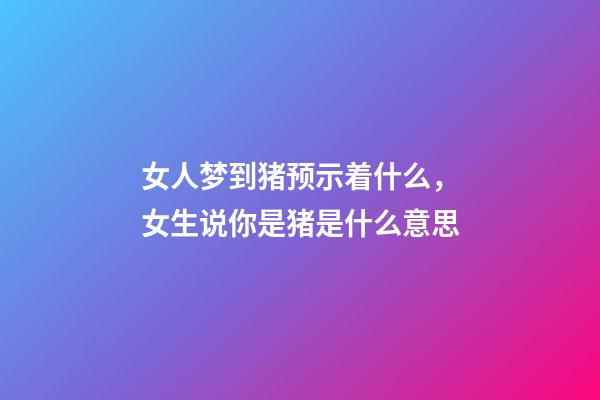 女人梦到猪预示着什么，女生说你是猪是什么意思-第1张-观点-玄机派