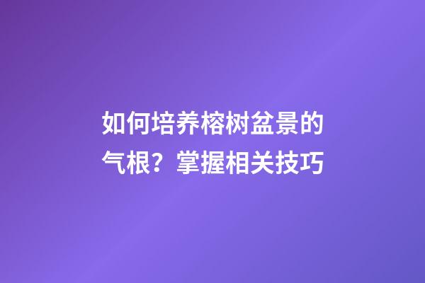 如何培养榕树盆景的气根？掌握相关技巧