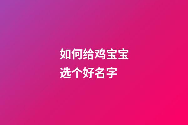 如何给鸡宝宝选个好名字