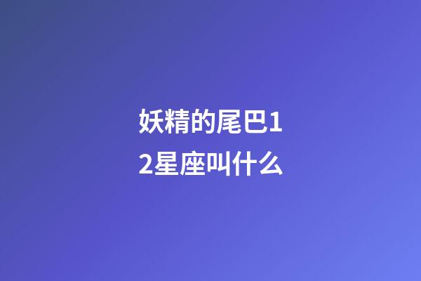 妖精的尾巴12星座叫什么