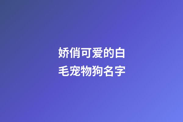 娇俏可爱的白毛宠物狗名字