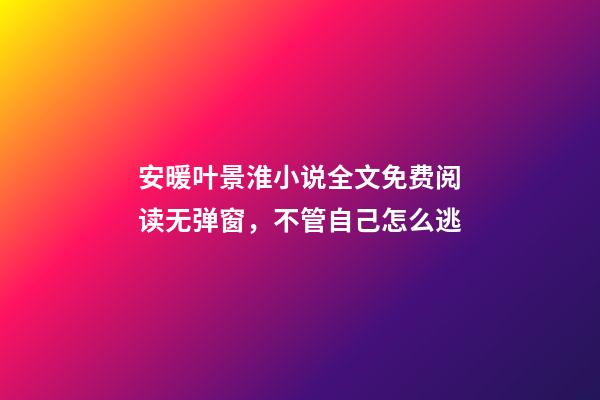 安暖叶景淮小说全文免费阅读无弹窗，不管自己怎么逃-第1张-观点-玄机派