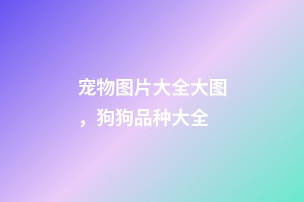 宠物图片大全大图，狗狗品种大全(带图片)-第1张-观点-玄机派