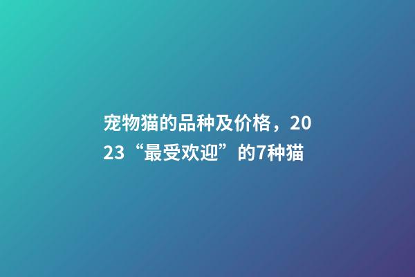 宠物猫的品种及价格，2023“最受欢迎”的7种猫-第1张-观点-玄机派