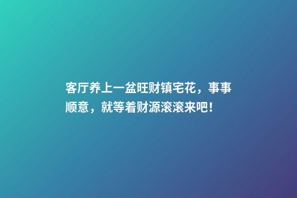 客厅养上一盆旺财镇宅花，事事顺意，就等着财源滚滚来吧！