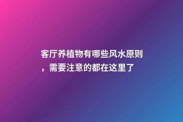 客厅养植物有哪些风水原则，需要注意的都在这里了