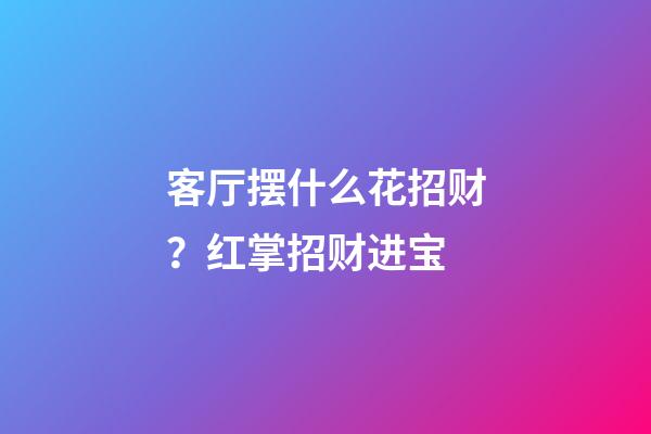 客厅摆什么花招财？红掌招财进宝