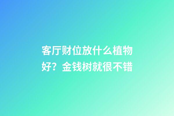 客厅财位放什么植物好？金钱树就很不错