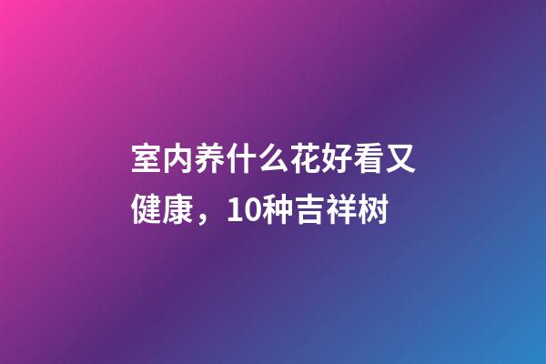 室内养什么花好看又健康，10种吉祥树-第1张-观点-玄机派