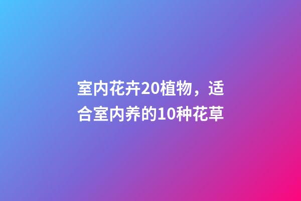 室内花卉20植物，适合室内养的10种花草-第1张-观点-玄机派