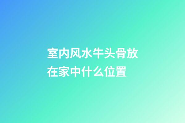 室内风水牛头骨放在家中什么位置