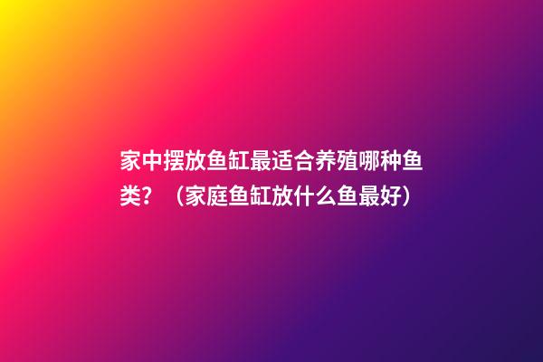 家中摆放鱼缸最适合养殖哪种鱼类？（家庭鱼缸放什么鱼最好）