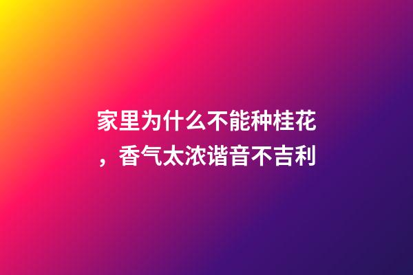 家里为什么不能种桂花，香气太浓谐音不吉利