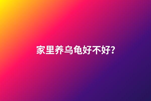 家里养乌龟好不好？