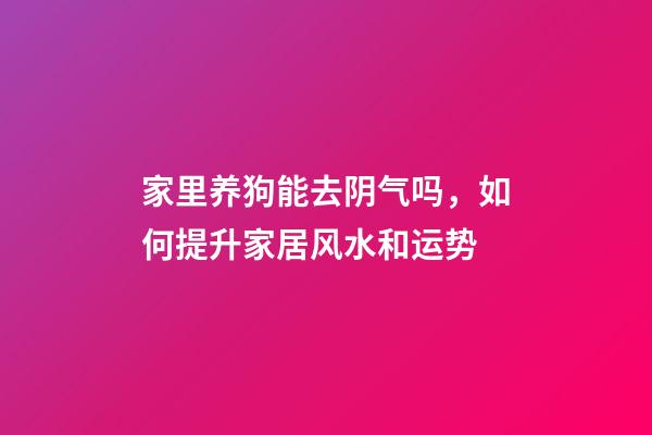 家里养狗能去阴气吗，如何提升家居风水和运势