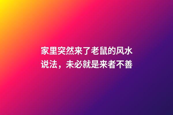 家里突然来了老鼠的风水说法，未必就是来者不善