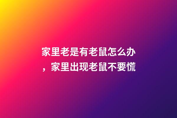 家里老是有老鼠怎么办，家里出现老鼠不要慌-第1张-观点-玄机派