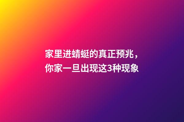 家里进蜻蜓的真正预兆，你家一旦出现这3种现象-第1张-观点-玄机派