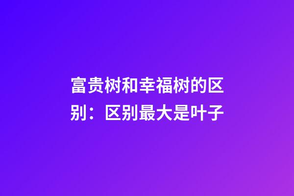 富贵树和幸福树的区别：区别最大是叶子