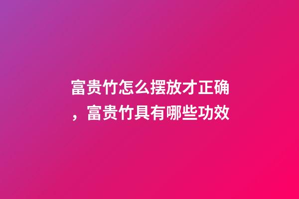 富贵竹怎么摆放才正确，富贵竹具有哪些功效