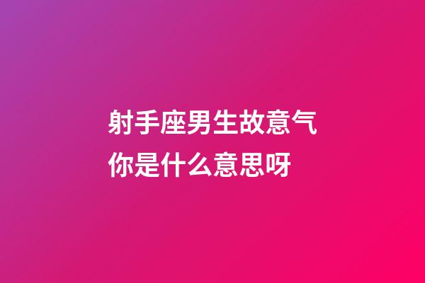 射手座男生故意气你是什么意思呀