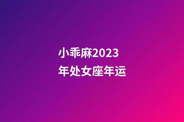 小乖麻2023年处女座年运-第1张-星座运势-玄机派