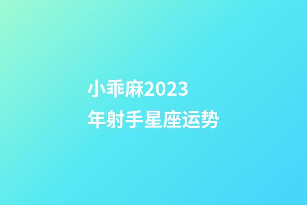 小乖麻2023年射手星座运势-第1张-星座运势-玄机派