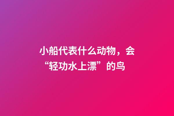 小船代表什么动物，会“轻功水上漂”的鸟-第1张-观点-玄机派