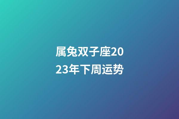 属兔双子座2023年下周运势-第1张-星座运势-玄机派