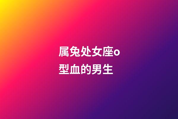 属兔处女座o型血的男生-第1张-星座运势-玄机派