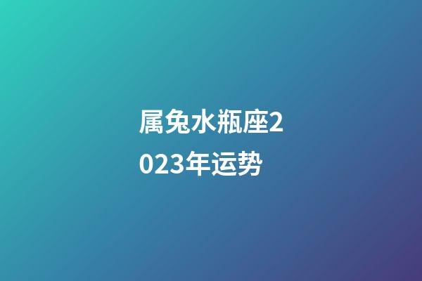 属兔水瓶座2023年运势-第1张-星座运势-玄机派