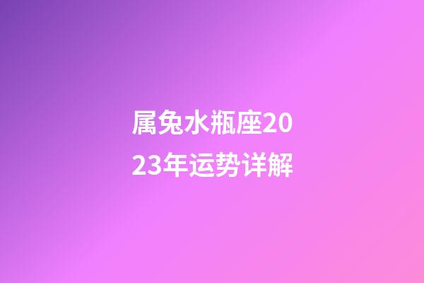 属兔水瓶座2023年运势详解-第1张-星座运势-玄机派