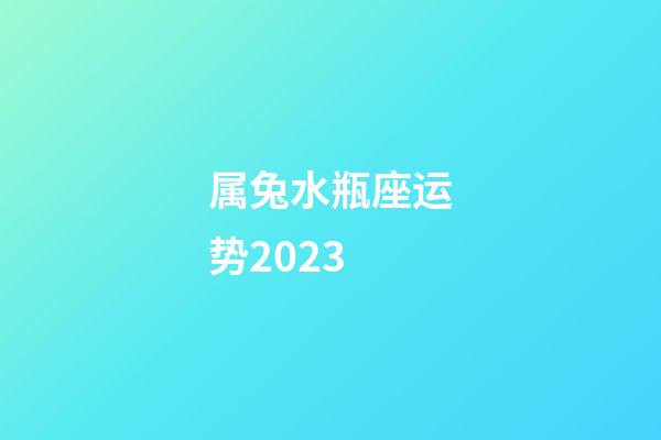 属兔水瓶座运势2023-第1张-星座运势-玄机派