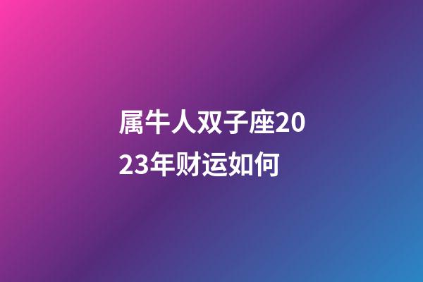 属牛人双子座2023年财运如何-第1张-星座运势-玄机派