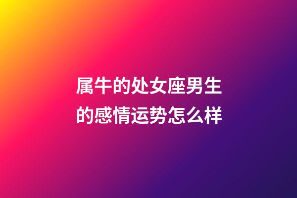 属牛的处女座男生的感情运势怎么样-第1张-星座运势-玄机派