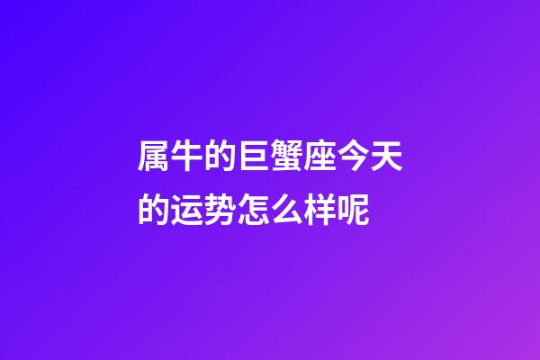 属牛的巨蟹座今天的运势怎么样呢-第1张-星座运势-玄机派