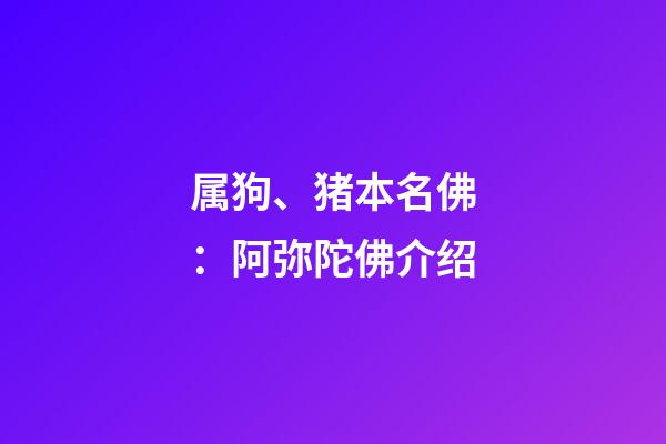 属狗、猪本名佛：阿弥陀佛介绍