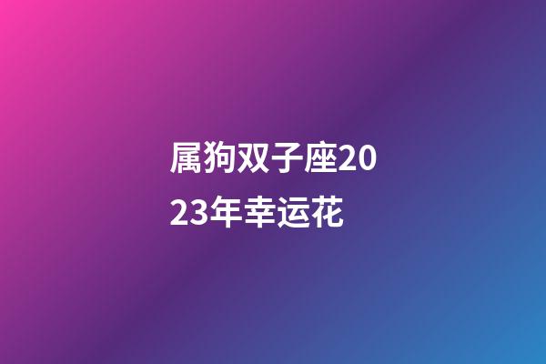 属狗双子座2023年幸运花-第1张-星座运势-玄机派