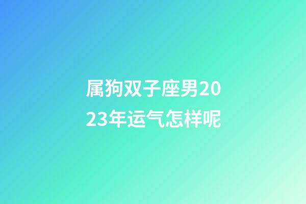 属狗双子座男2023年运气怎样呢-第1张-星座运势-玄机派