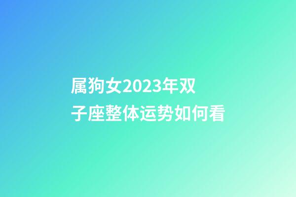 属狗女2023年双子座整体运势如何看-第1张-星座运势-玄机派