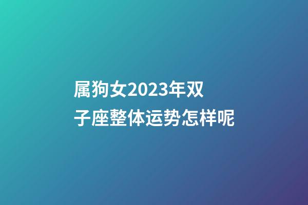 属狗女2023年双子座整体运势怎样呢