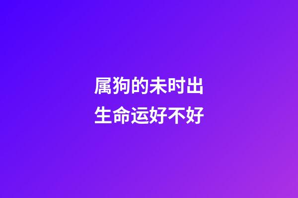 属狗的未时出生命运好不好