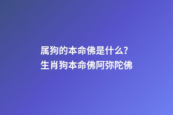 属狗的本命佛是什么？生肖狗本命佛阿弥陀佛