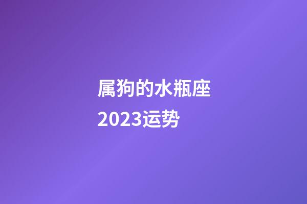 属狗的水瓶座2023运势-第1张-星座运势-玄机派