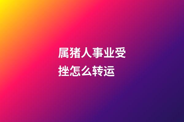 属猪人事业受挫怎么转运